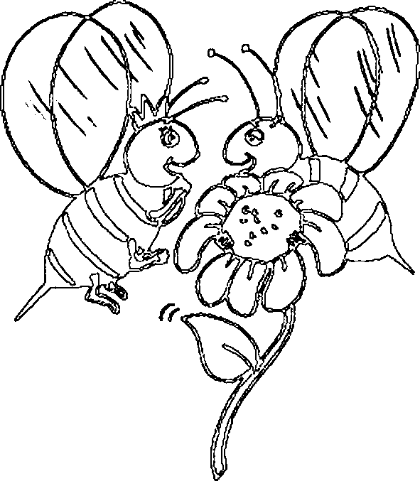 Pszczoły kolorowanki